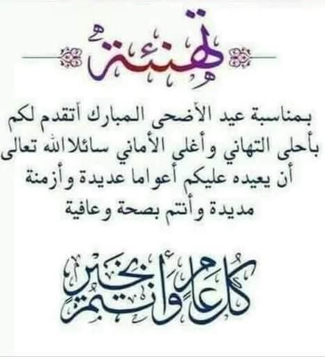 سيارات أجرة لنقل المواطنين مجانًا إلى ساحات صلاة العيد في الوادي الجديد