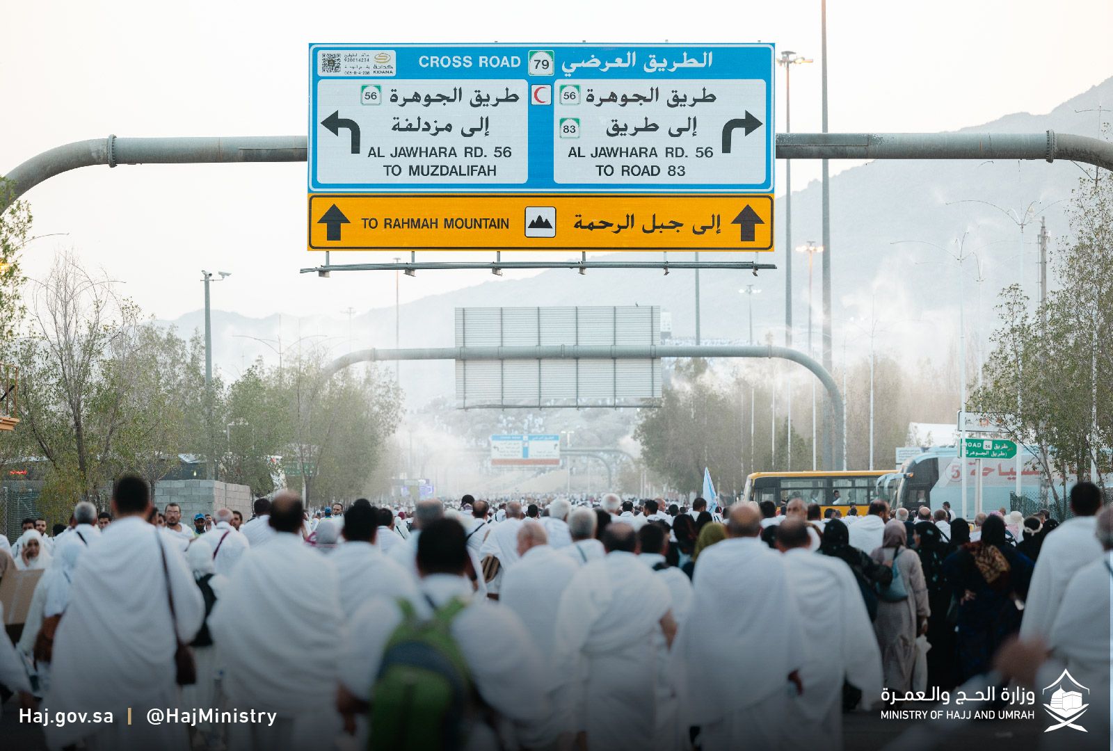 حجاج بيت الله الحرام على عرفات.. "أرواح ترجوا ودموع خاشعة "( صور)