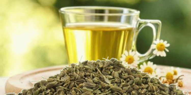 بديل المنوم.. اشرب كوب قبل النوم ستشعر بالنعاس فوراً .. تعرف على أفضل عشبة فعالة لعلاج الأرق وقلة النوم