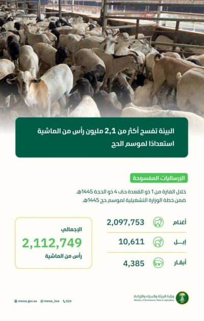 الصحة ترصد عددا من حالات الإجهاد حراري وضربات الشمس بين الحجاج