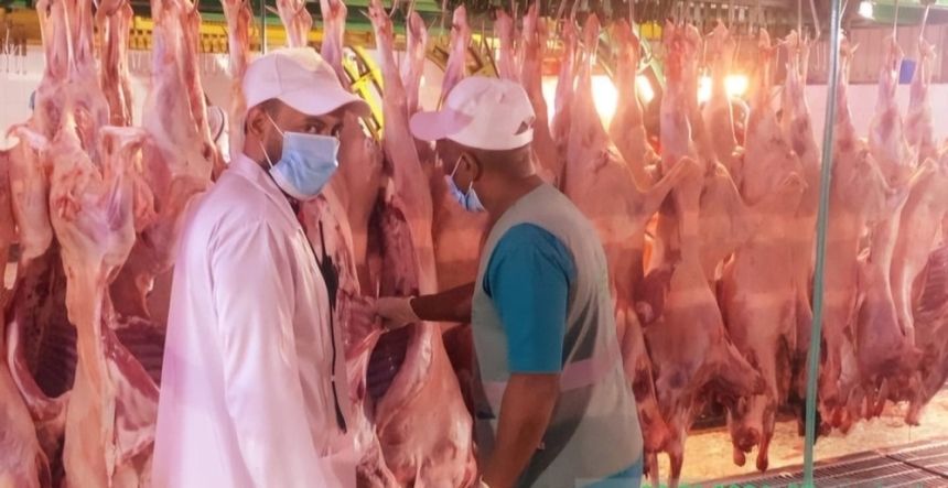 انسيابية ونجاح عمل المسالخ في أول أيام العيد بالعاصمة المقدسة