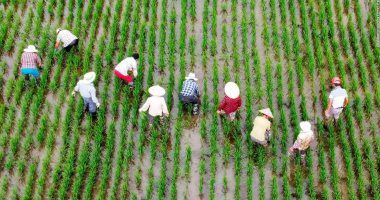 179 مليار جنيه استثمارات للقطاع الزراعى بخطة التنمية للعام 24/25..اعرف التفاصيل