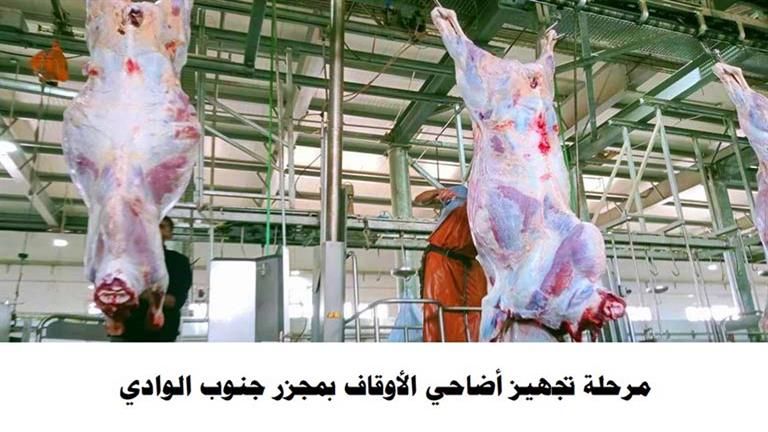 "الأوقاف": بدء ذبح وتجهيز لحوم الأضاحي بإشراف بيطري - صور