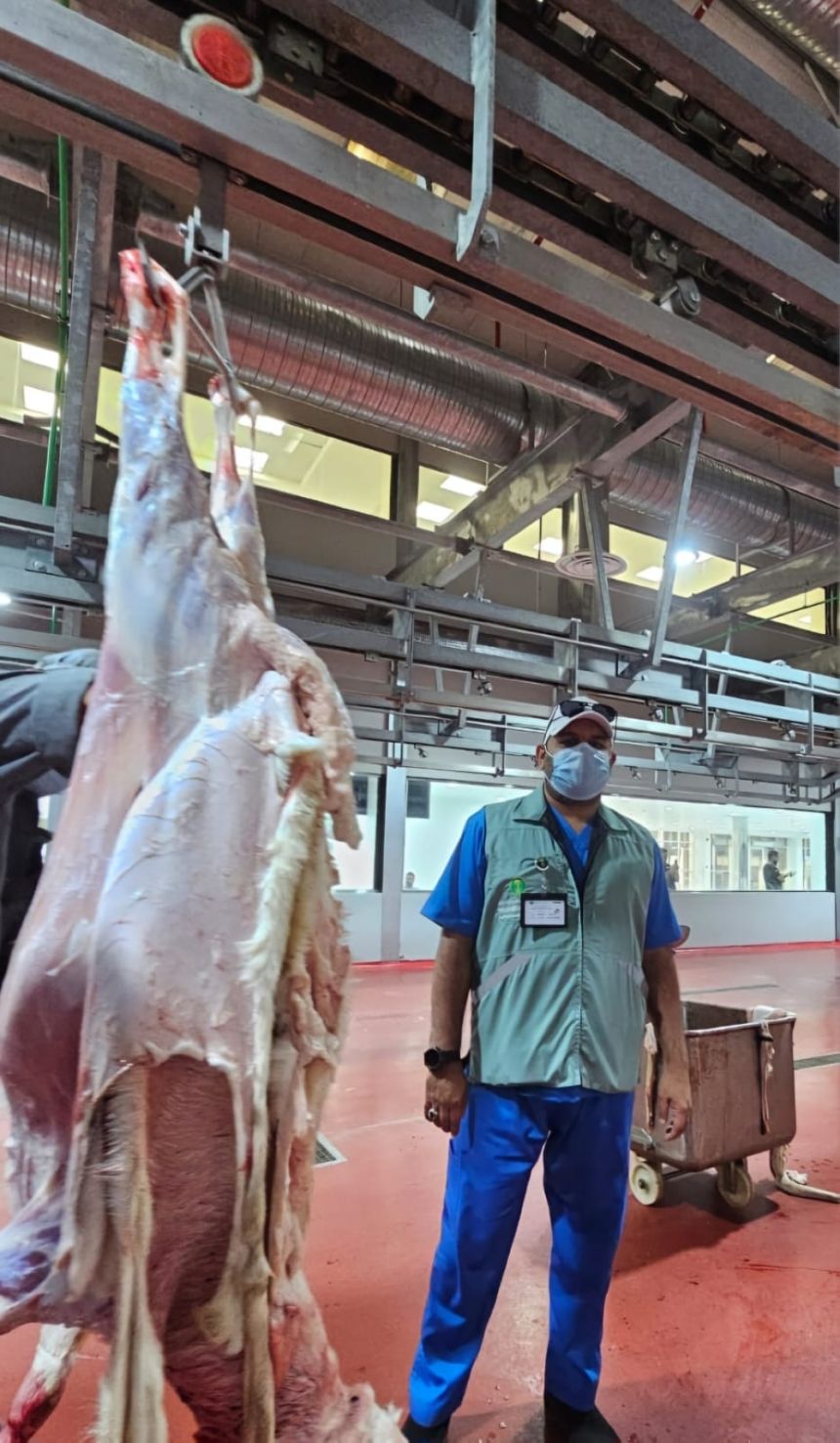 انسيابية ونجاح عمل المسالخ في أول أيام العيد بالعاصمة المقدسة