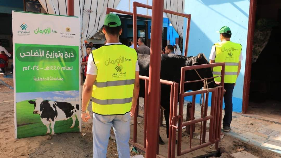 تحت مظلة التحالف الوطنى.. ذبح 20 عجلا فى أول أيام عيد الأضحى بالدقهلية