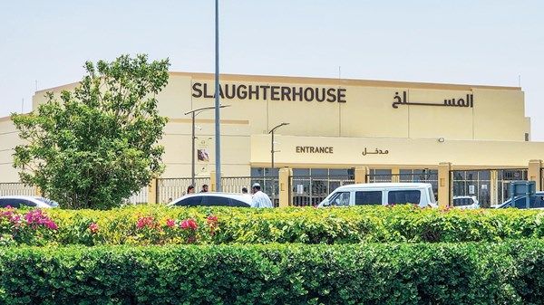 إقبال على مسلخ الشارقة