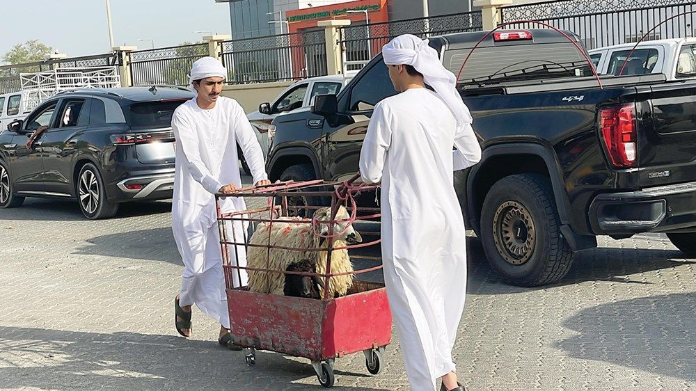 بلدية أبوظبي ترفع جاهزية المسالخ لاستقبال 37 ألف أضحية