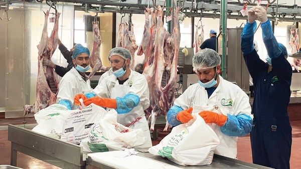 6 إجراءات لقضاء عيد صحي آمن