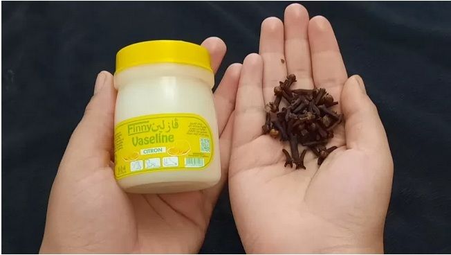 معجزة اقسم بالله.. خليط القرنفل المطحون مع الفازلين ستغير حياتك تماماً عند وضعه على هذه المناطق من جسمك .. جربه الأن وشاهد الفرق ؟