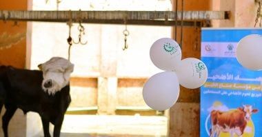 تحت مظلة التحالف الوطنى.. صناع الخير تضاعف جهودها في العيد بتوزيع اللحوم