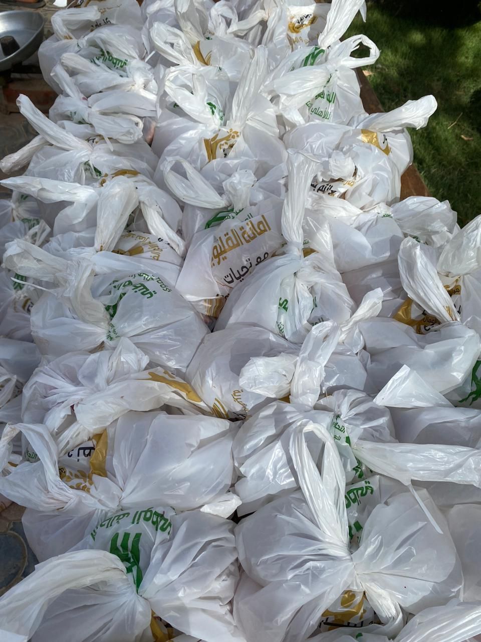 التحالف الوطني ينشر البهجة بين المواطنين بمبادرات عيد الأضحى.. صور