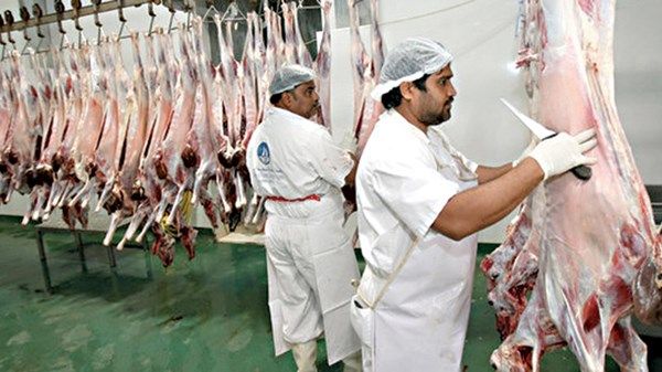 1000 ذبيحة الطاقة الاستيعابية لمقاصب دبي في الساعة