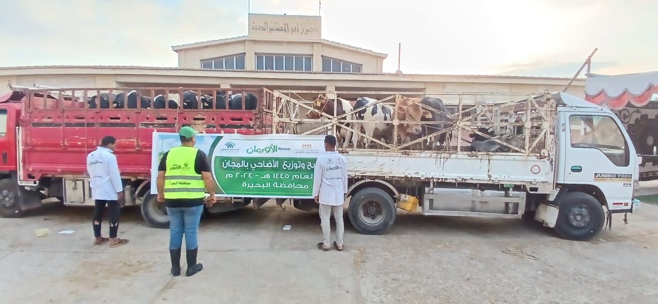 تحت مظلة التحالف الوطنى.. استمرار مبادرة توزيع لحوم الأضاحى لليوم الثالث