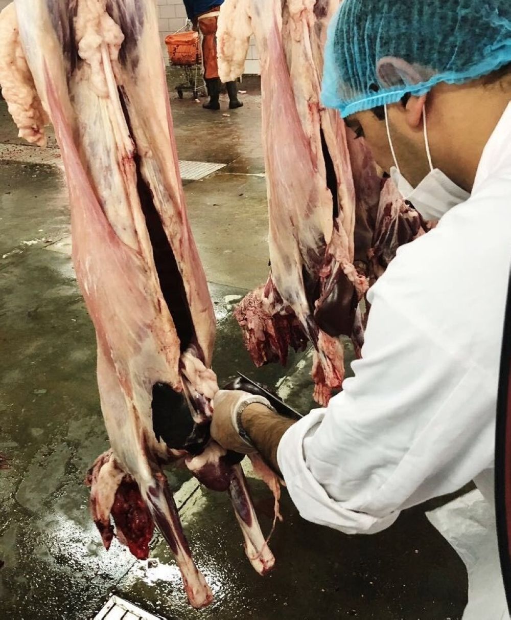 خلال العيد.. أمانة الرياض تضبط 151 من حظائر الأغنام والمسالخ غير النظامية