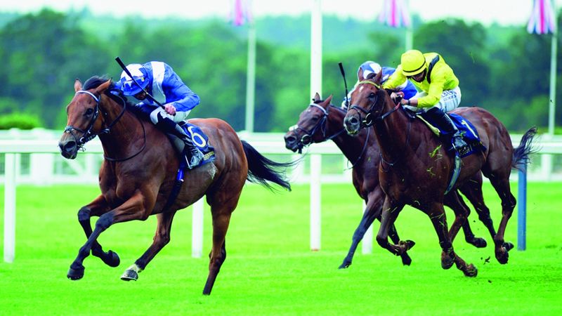 الامارات | خيول الإمارات تدافع عن لقبها في «برينس أوف ويلز ستيكس»