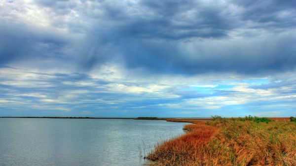 العاصفة المدارية ألبرتو تقترب من خليج المكسيك