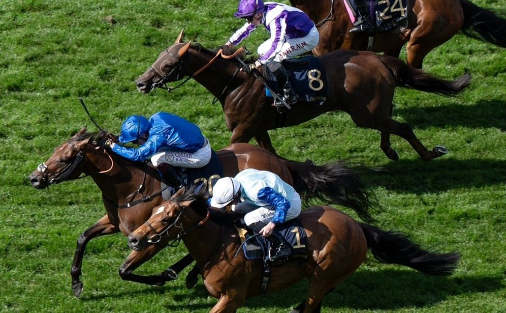 الامارات | "وايلد تايغر" يتوج بلقب "رويال هنت كب" في "آسكوت"