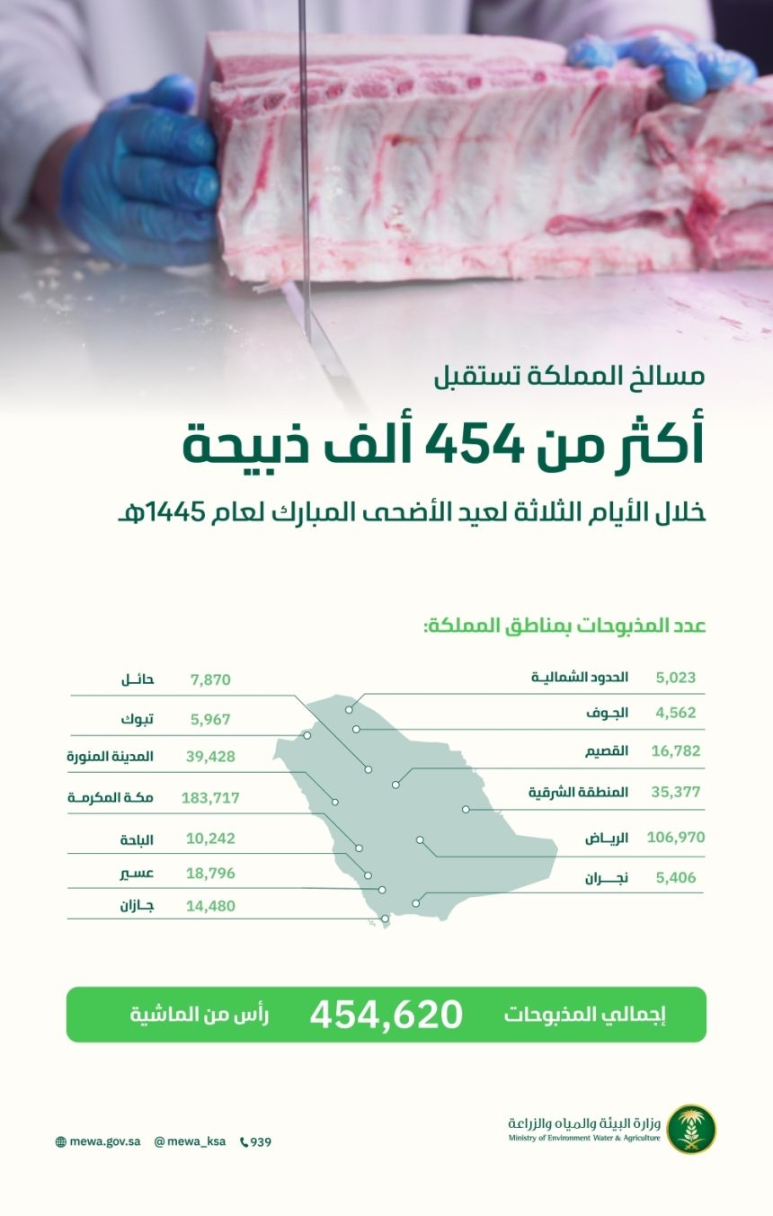 مكة الأعلى.. المسالخ تستقبل 454 ألف ذبيحة خلال أول 3 أيام بعيد الأضحى