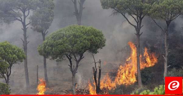 وزارة البيئة دعت الى تجنب استخدام أي مصدر للنار بالقرب من الغطاء النباتي مع ارتفاع خطر الحرائق