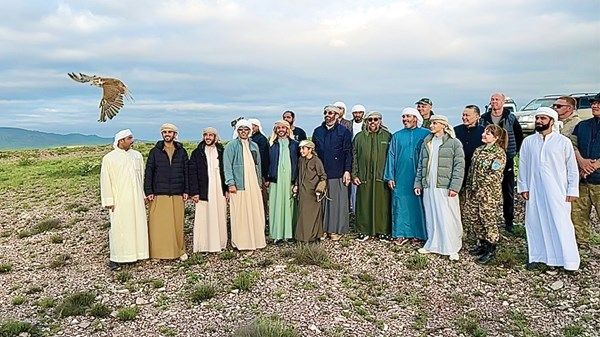 «زايد لإطلاق الصقور» يعيد 63 صقراً إلى البرية في كازاخستان