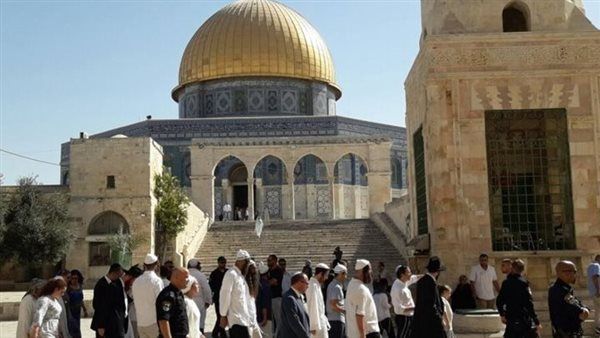 تحت حماية الاحتلال.. مستعمرون يقتحمون المسجد الأقصى ويؤدون طقوسًا تلمودية