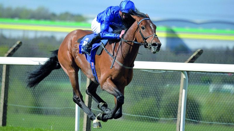 الامارات | الجواد «تراولرمان» ينشد لقب «غولد كب» في «رويال آسكوت»