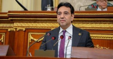 النائب أيمن محسب يثمن الجهود المبذولة للبحث عن الحجاج المفقودين