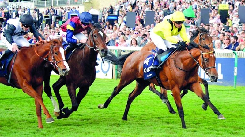 الامارات | «الملكة» تطلب لقب «كورونيشن كب» في «رويال آسكوت»