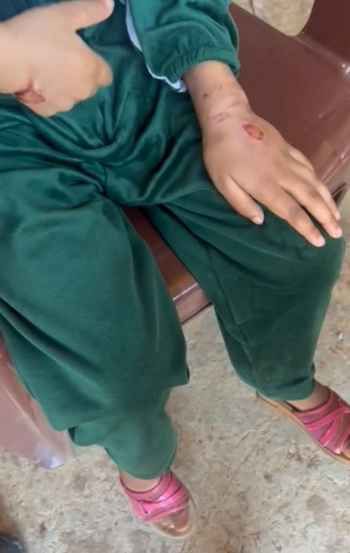 قوى الامن: توقيف سوري في سهل بلدة طاريا لاقدامه على قتل ابنته وتعنيف اطفاله