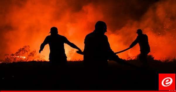 وزير الصحة التركي: مقتل خمسة أشخاص واصابة العشرات بحرائق غابات في جنوب شرق تركيا
