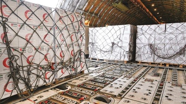 الإمارات تقدم 33 ألف طن من المساعدات إلى غزة عبر 395 طائرة