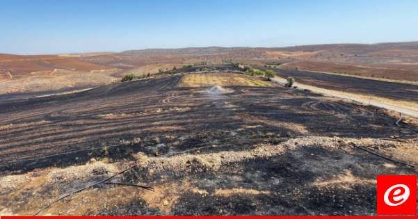 مقتل 11 شخصا على الأقل في حريق غابات بجنوب شرق تركيا