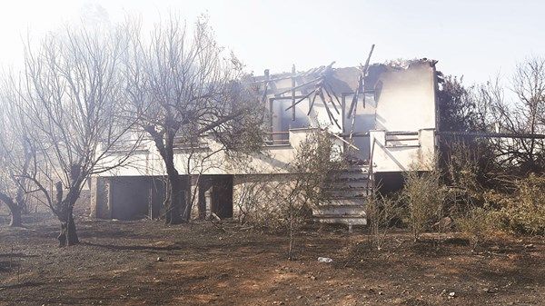 صيف ساخن يشعل الحرائق بتركيا واليونان ويقتل العشرات في المكسيك