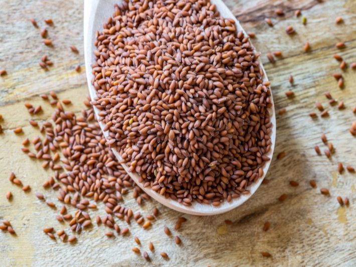 وصية رسول الله .. نبتة شهيرة متوفرة بسعر التراب تنظم سكر الدم وتعالج أمراض كثيرة لن تتوقع بعضها