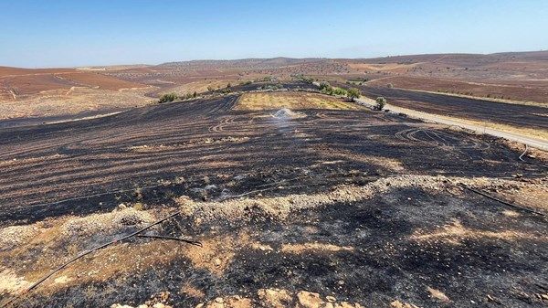 عشرات القتلى والجرحى بحريق غابات في تركيا