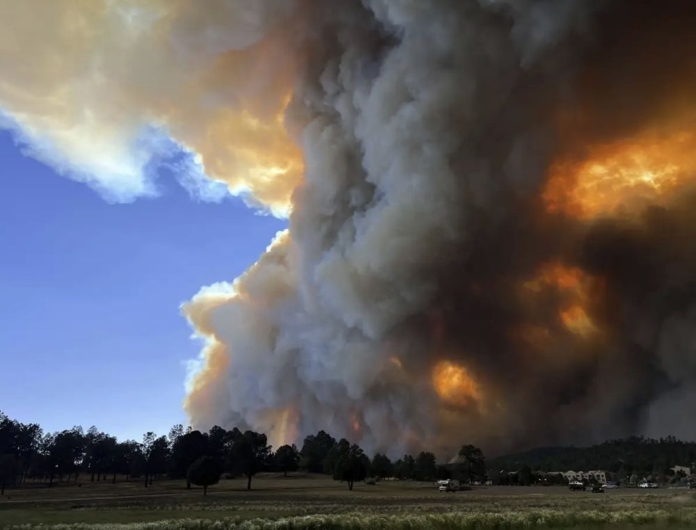 الحرارة والرياح والجفاف تفاقم من حرائق الغابات