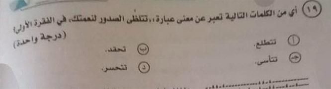 امتحان العربي للثانوية العامة.. رئيس مجمع اللغة يكشف لمصراوي مفاجآت عن سؤال "تتلظى"