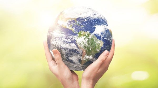 ممثل «الفاو» الإقليمي لـ«الاتحاد»: جهود الإمارات رائدة وملهمة عالمياً في مواجهة تغير المناخ