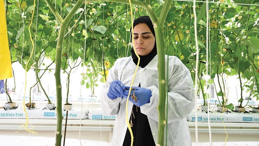 كوادر إماراتية تدير 3 محطات للأبحاث الزراعية في أبوظبي