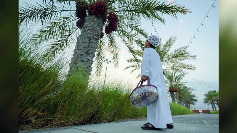 الامارات | عناقيد بلاد الخير