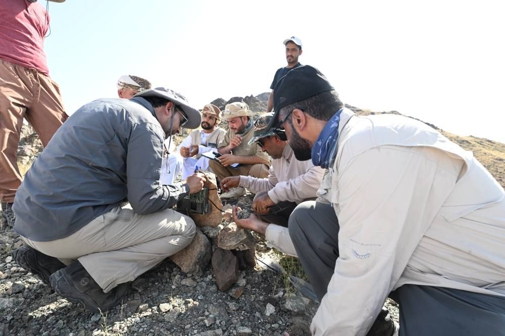 بالصور والفيديو.. “سلطنة عمان”: رصد وتوثيق 80 نوعًا من الثدييات البرية المهددة بالانقراض
