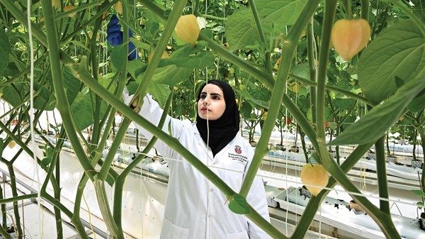كوادر إماراتية تدير 3 محطات للأبحاث الزراعية في أبوظبي