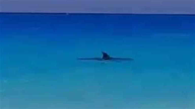 علوم البحار: مسح كامل بالشواطئ القريبة من الكائن البحري النافق بالساحل الشمالي