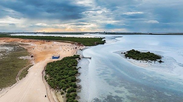 أم القيوين تنفذ مبادرات ترسخ الاستدامة البيئية