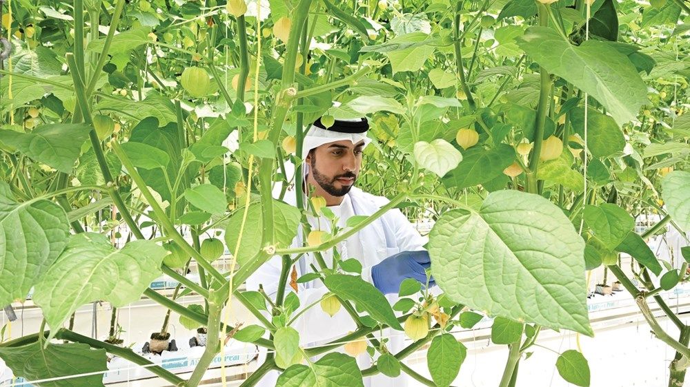 كوادر إماراتية تدير 3 محطات للأبحاث الزراعية في أبوظبي