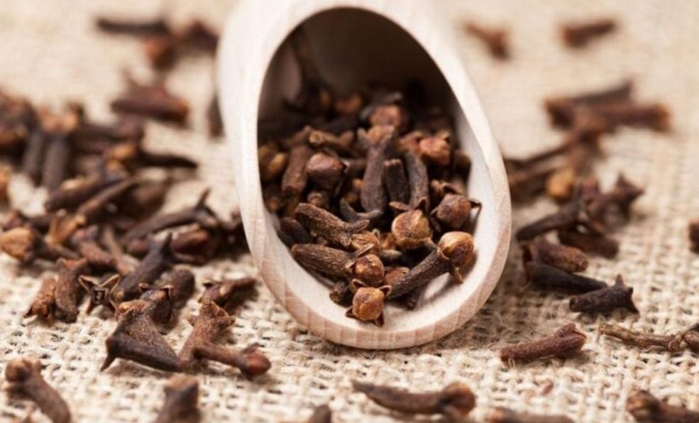 عايز تجنن زوجتك في سرير النوم.. استخدم القرنفل بهذه الحركة قبل النوم بساعة وشاهد كيف ستصبح قوتك كالحصان حتى لو كان عمرك فوق السبعين عامًا