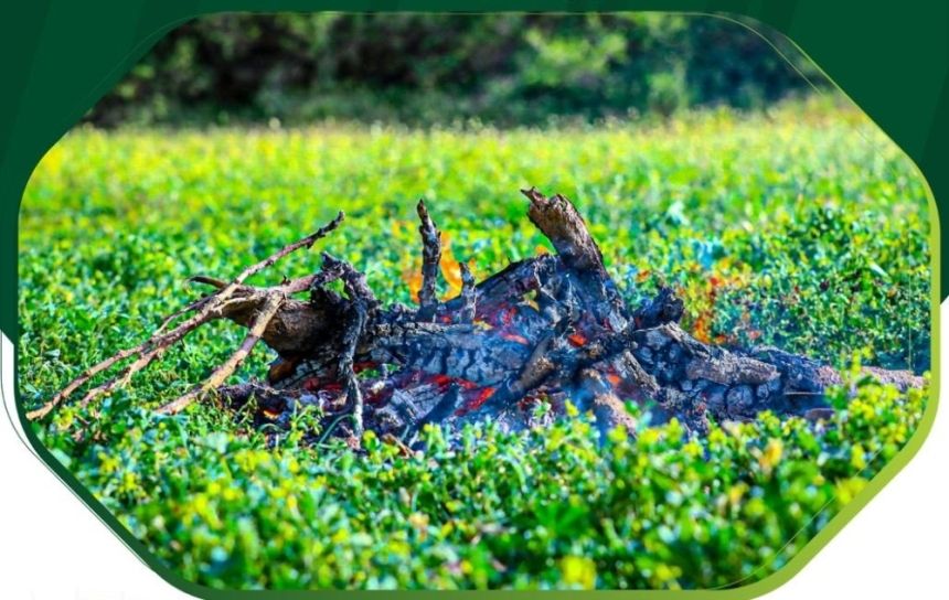 ضبط شخصين لمخالفة نظام البيئة في محمية الملك سلمان وعسير