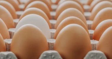 كيف تتناول البيض بشكل آمن في الصيف؟