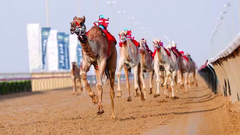 الامارات | أحمد بن محمد رئيساً لنادي دبي  لسباقات الهجن