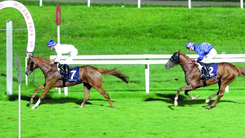 الامارات | أخبار سريعة..